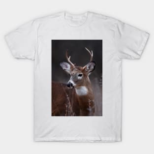 Deer boy - White-tailed Deer T-Shirt